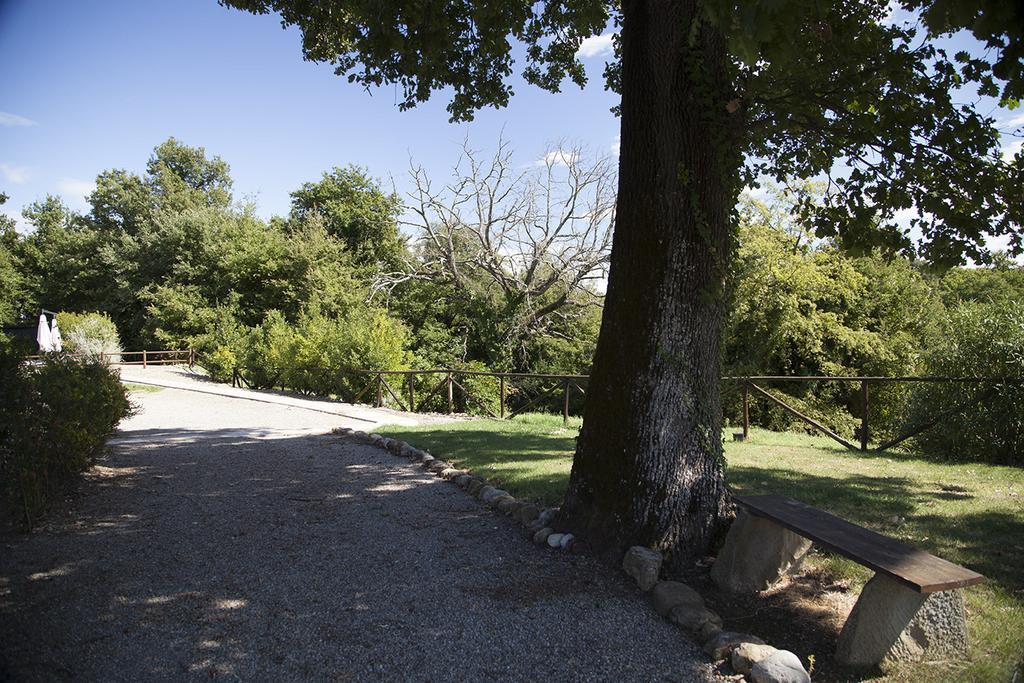Agriturismo Pieve De Pitti Terricciola 外观 照片