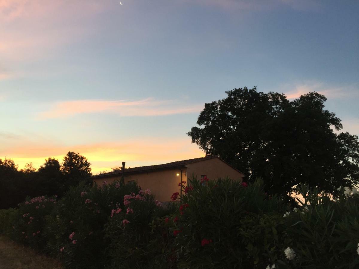 Agriturismo Pieve De Pitti Terricciola 外观 照片