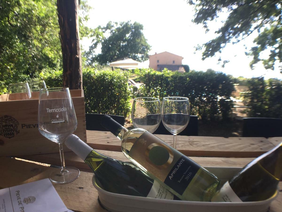 Agriturismo Pieve De Pitti Terricciola 外观 照片