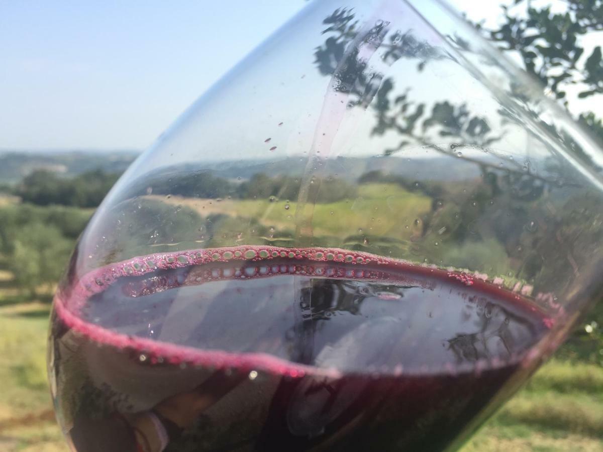Agriturismo Pieve De Pitti Terricciola 外观 照片