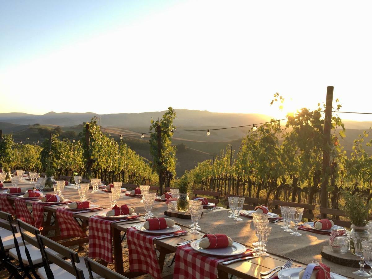 Agriturismo Pieve De Pitti Terricciola 外观 照片