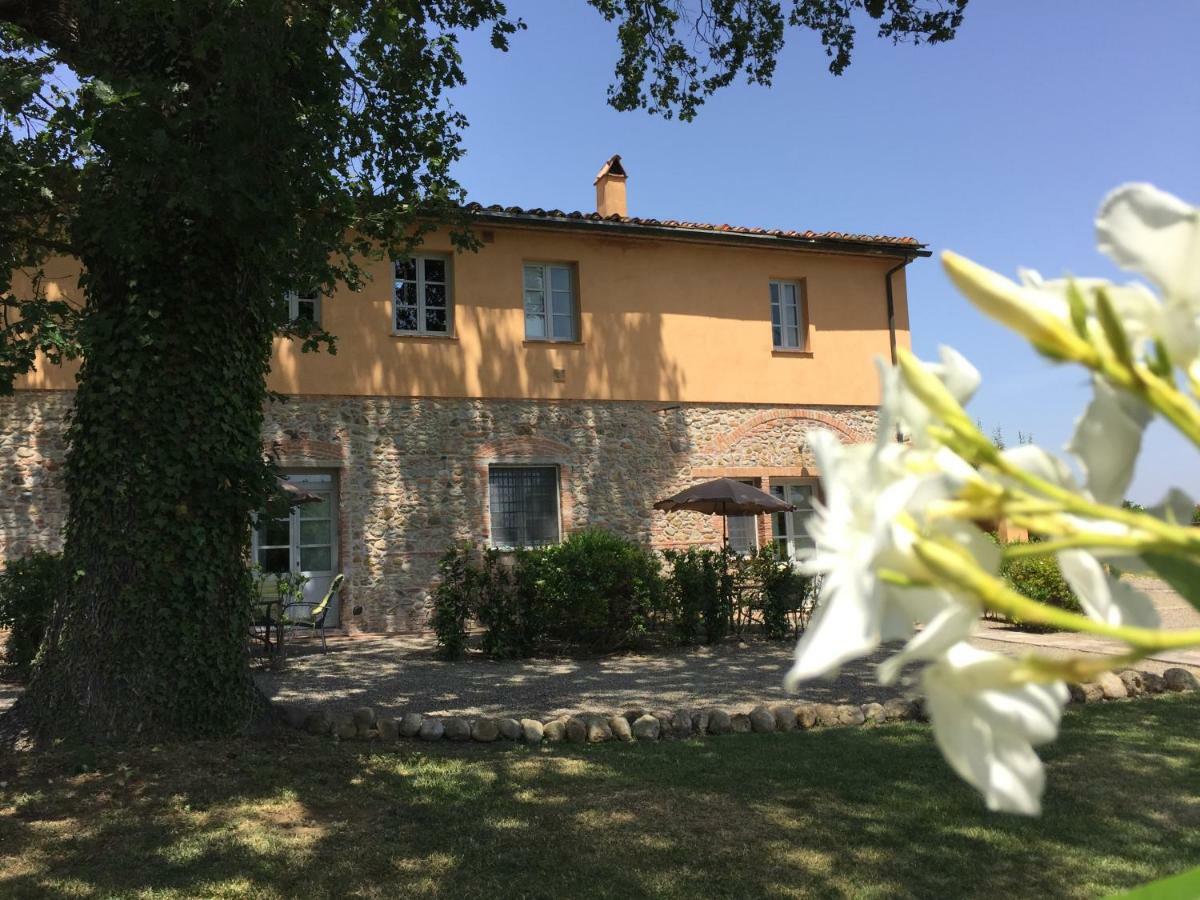 Agriturismo Pieve De Pitti Terricciola 外观 照片