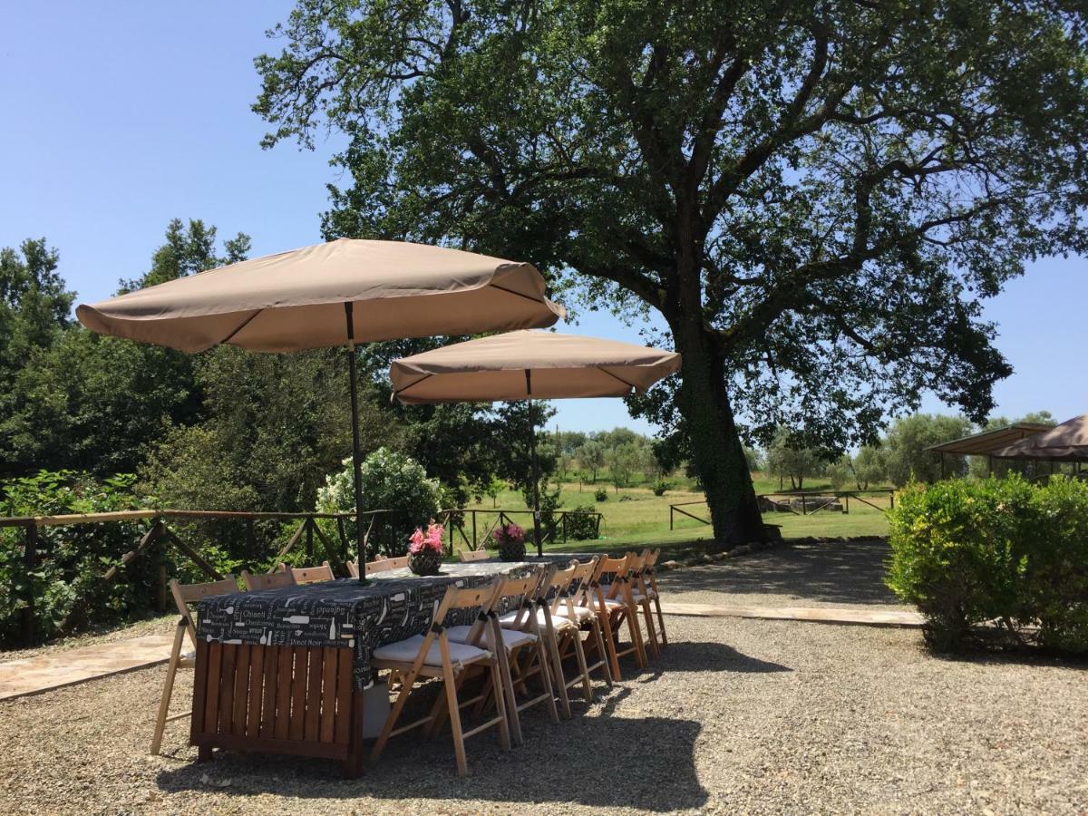 Agriturismo Pieve De Pitti Terricciola 外观 照片