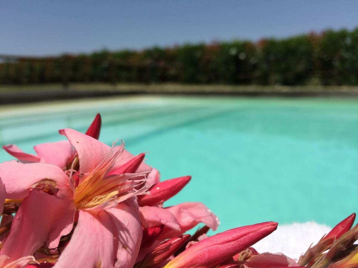 Agriturismo Pieve De Pitti Terricciola 外观 照片