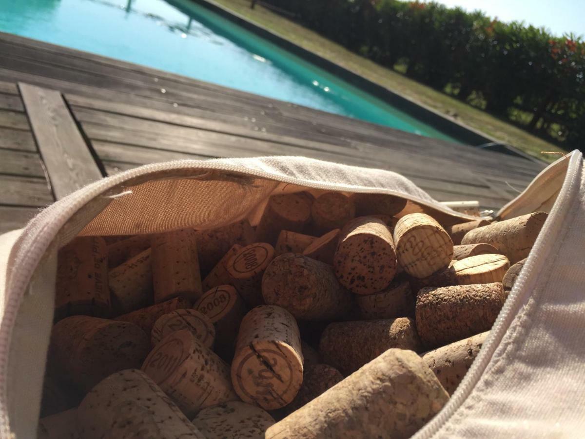 Agriturismo Pieve De Pitti Terricciola 外观 照片