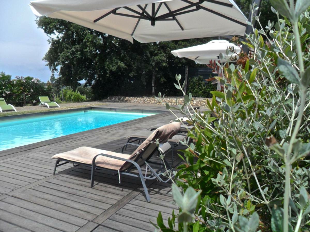 Agriturismo Pieve De Pitti Terricciola 外观 照片