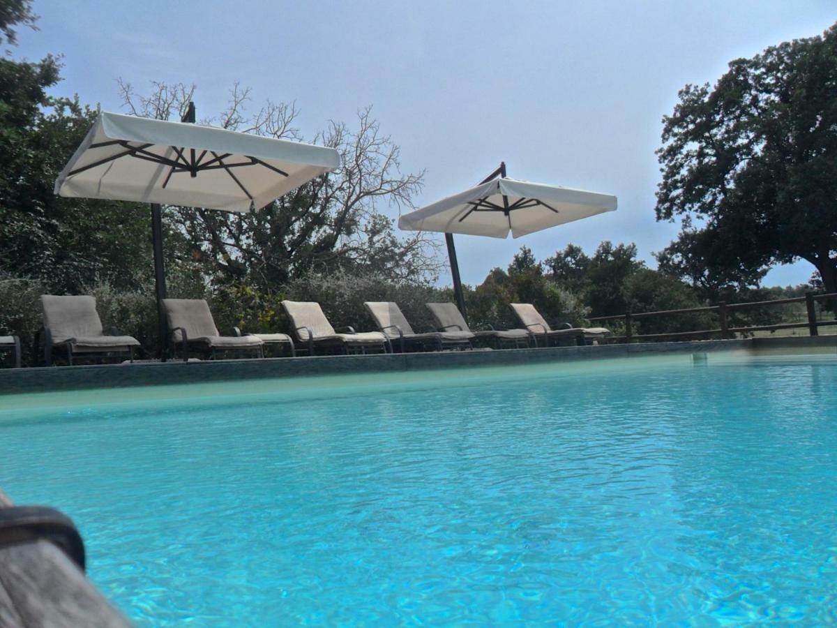 Agriturismo Pieve De Pitti Terricciola 外观 照片
