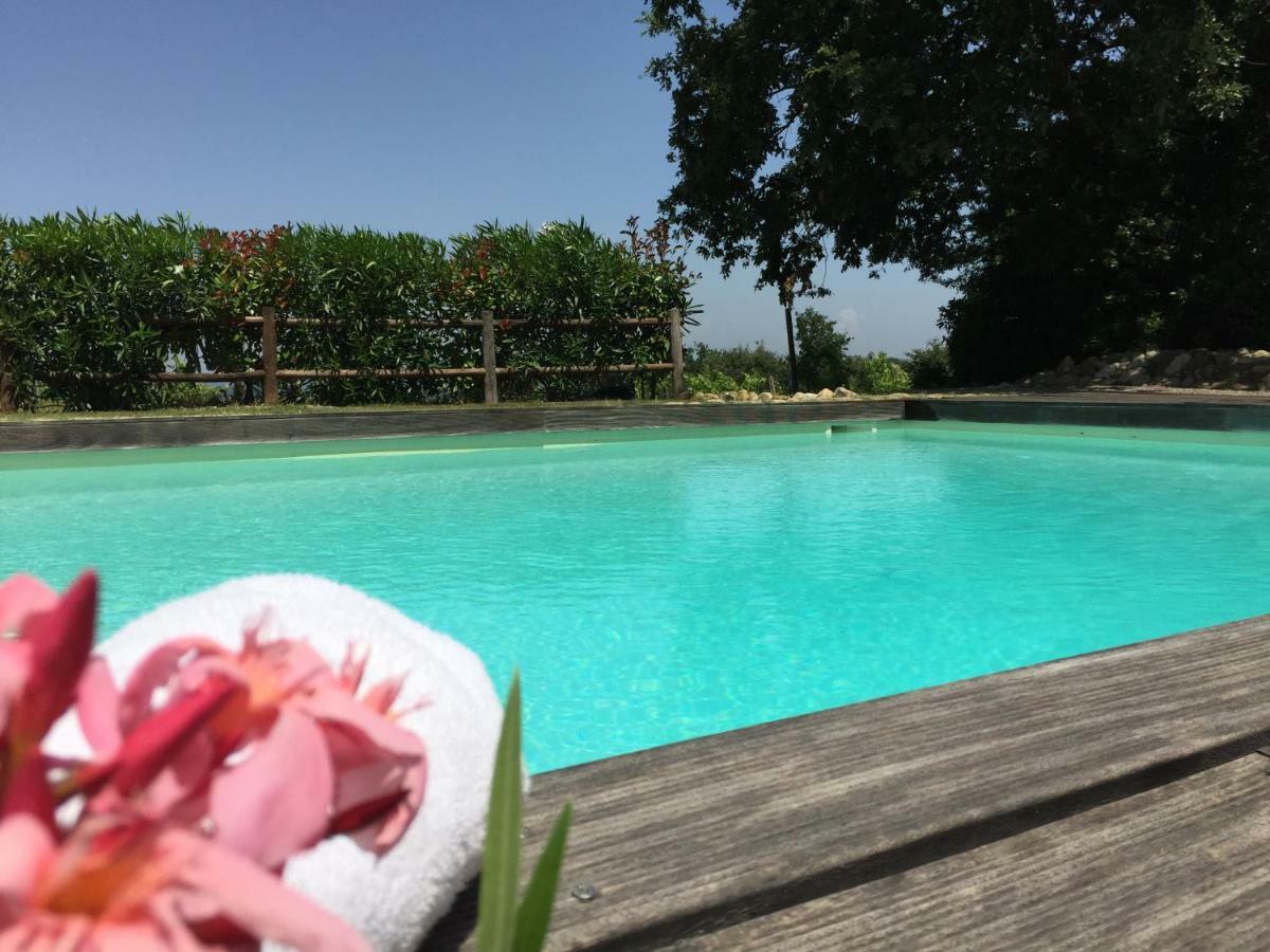 Agriturismo Pieve De Pitti Terricciola 外观 照片