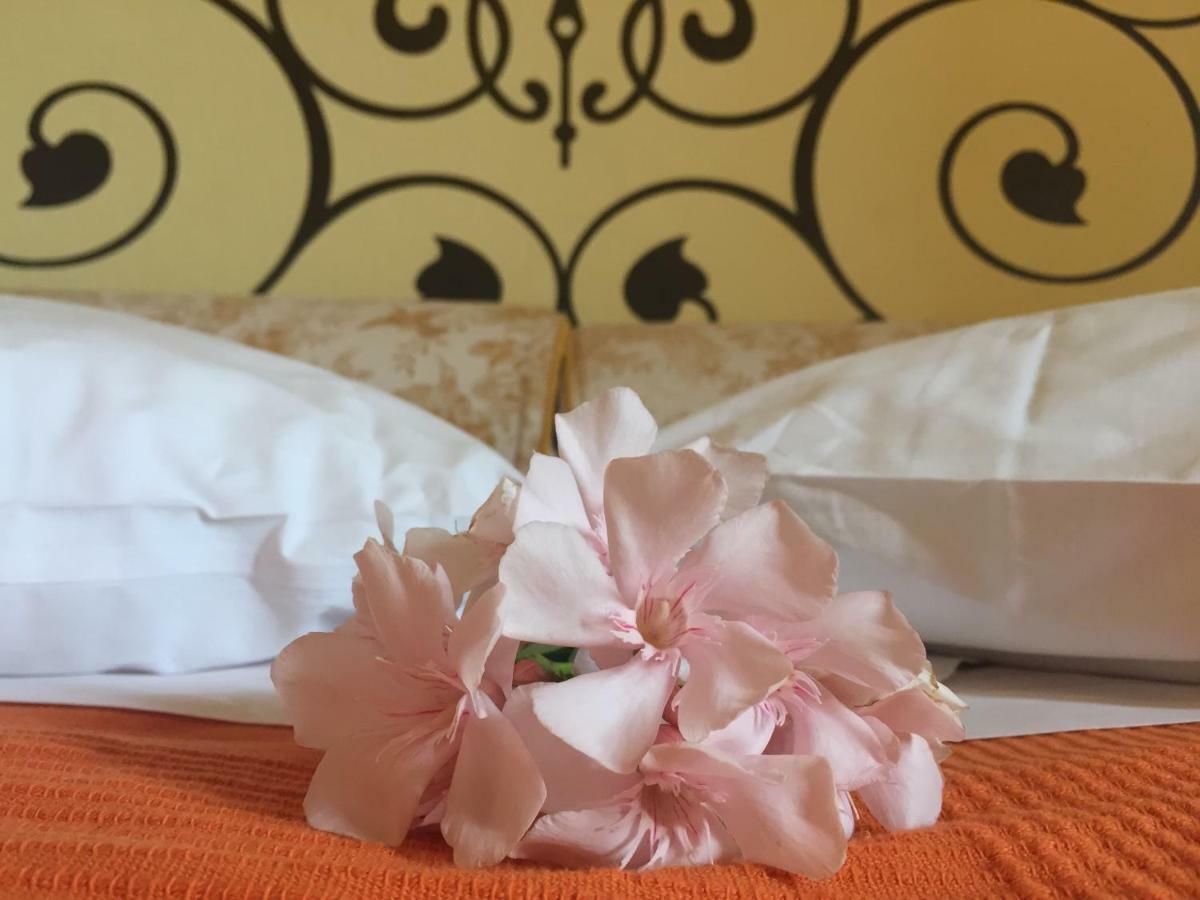 Agriturismo Pieve De Pitti Terricciola 外观 照片